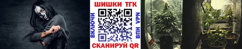 Сколько стоит Грайворон Псилоцибиновые грибы  Меф  Cocaine  АМФЕТАМИН 
