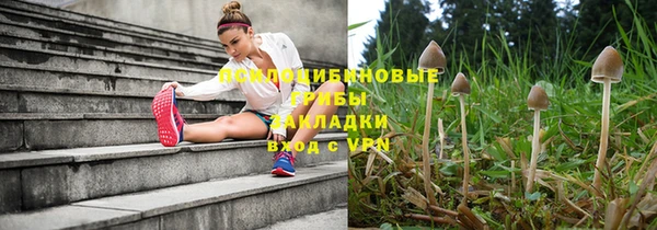 сатива Алексеевка