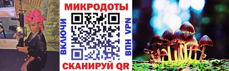 Галлюциногенные грибы Magic Shrooms  закладки  Грайворон 